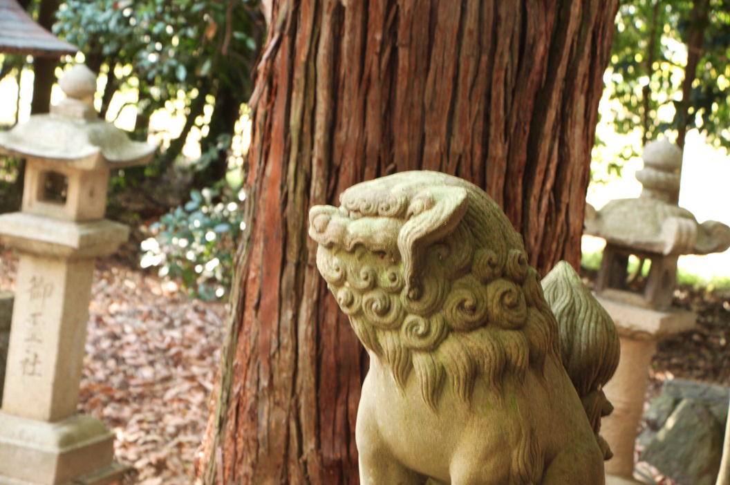 佐吉狛犬　御霊神社