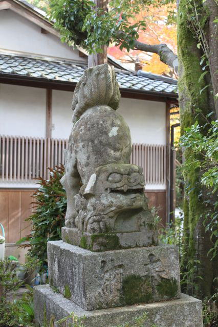 京都・左京区　赤山禅院