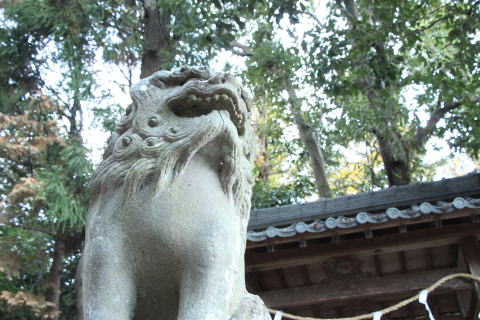 佐吉狛犬　沢・春日神社