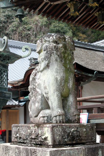 京都・楊谷寺の狛犬