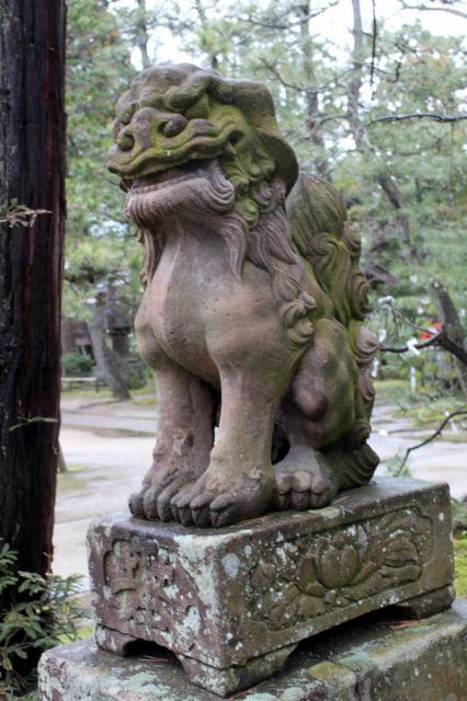 天橋立・知恩寺の狛犬