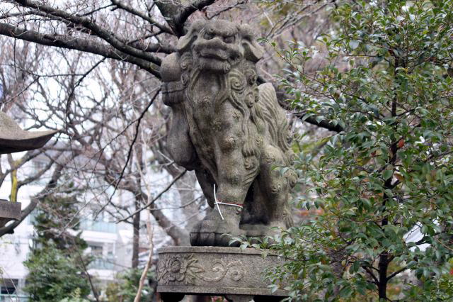 大阪・豊崎神社狛犬